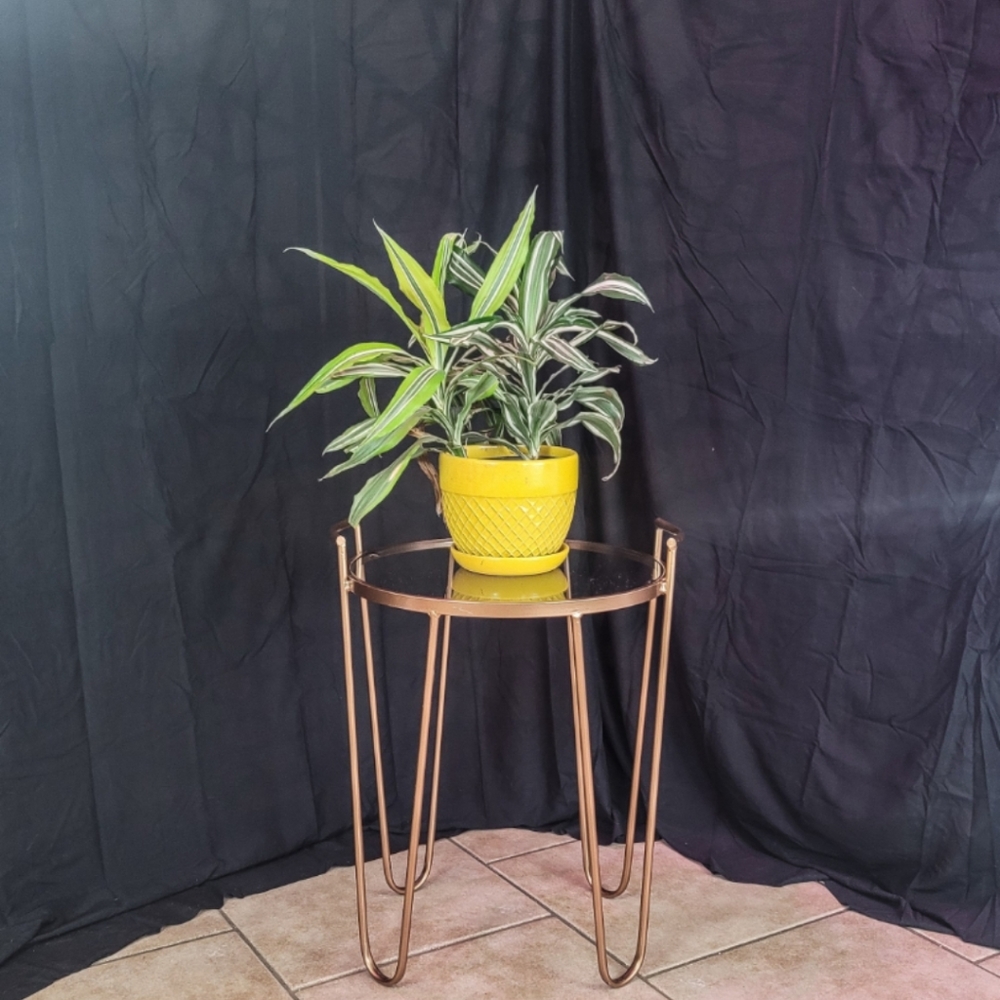 Modernist Accent Table, with handles, by Via Rodeo - gold color tube, glass top